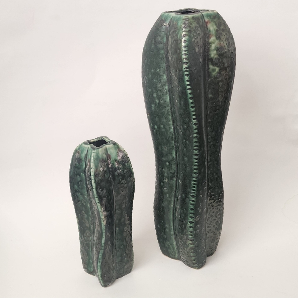 Elegant Green Cactus Ceramic Vase Set 🌵🌵